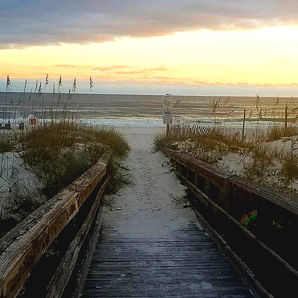 Meet your Posher, Mary